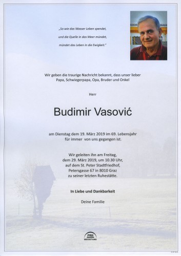Budimir Vasović