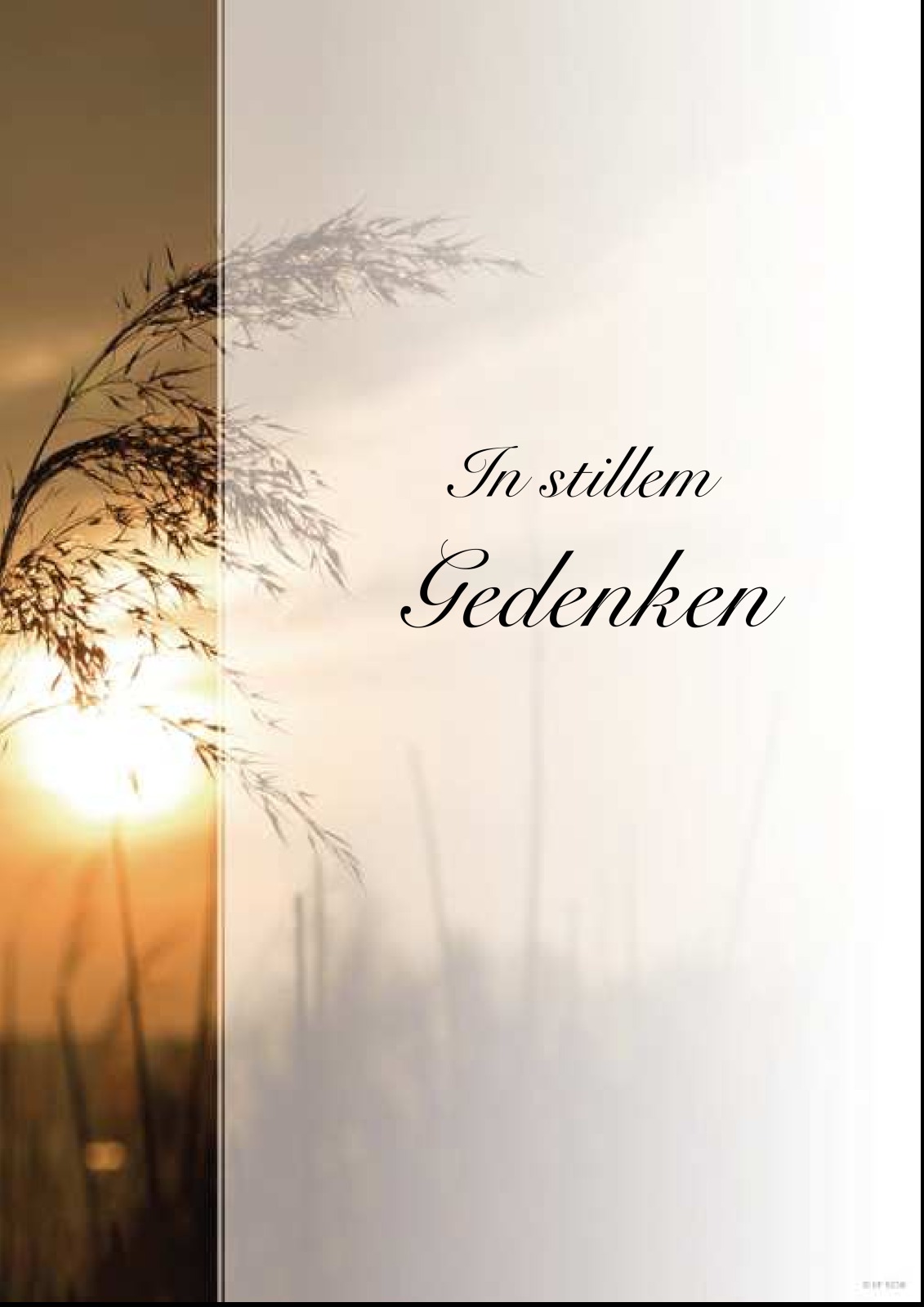 Parte Wilhelm Andreutz