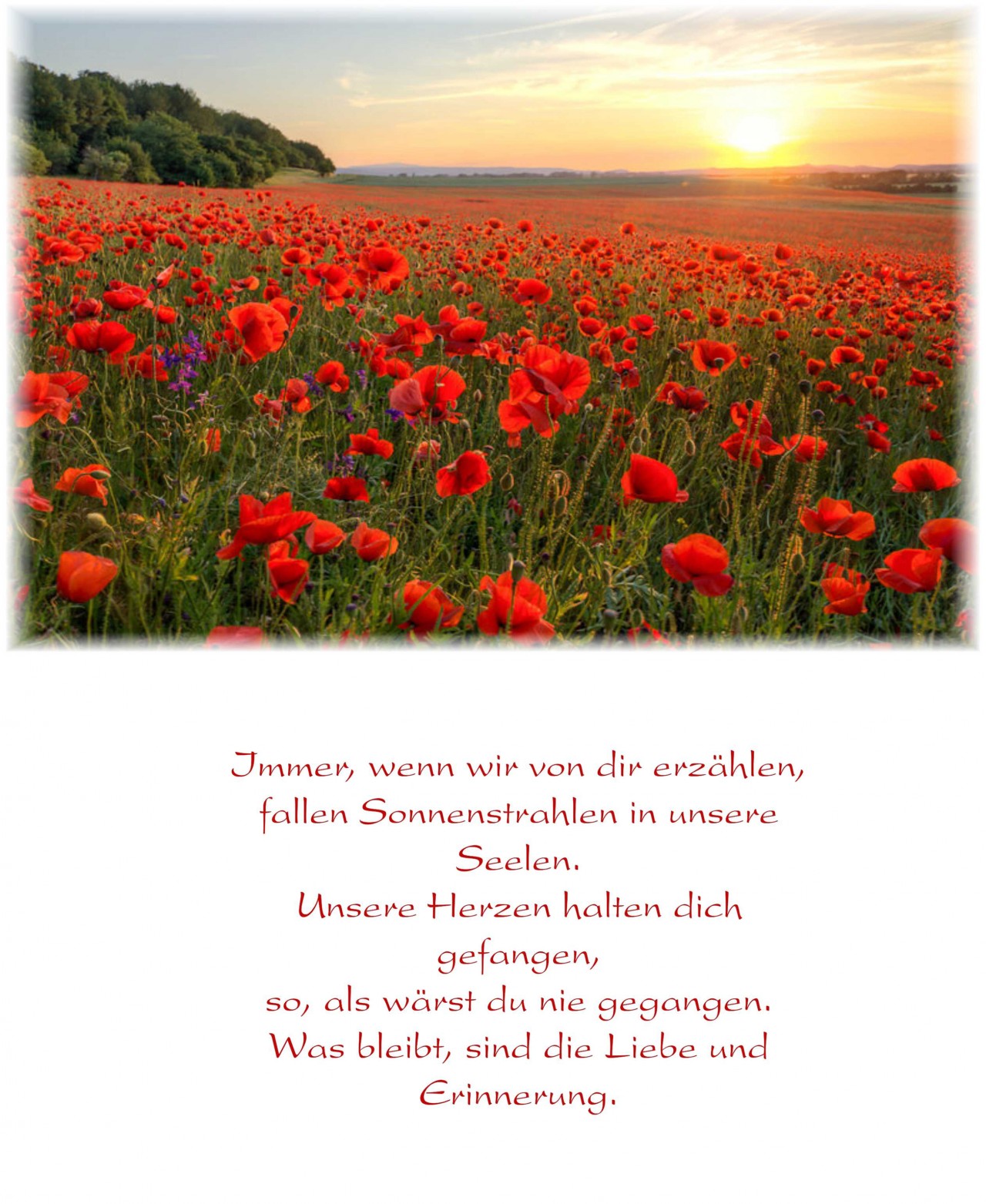 Parte Johann Kerschbaumer