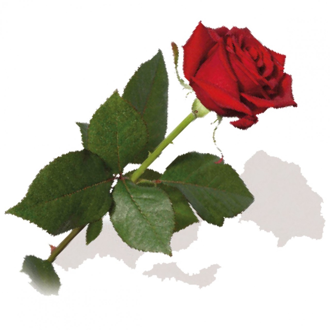 Parte Georg Zwischenbrugger