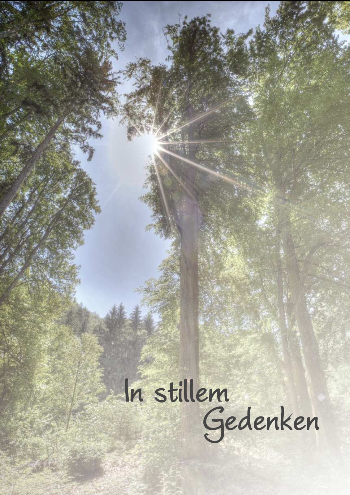 Parte Theodor Zinniel