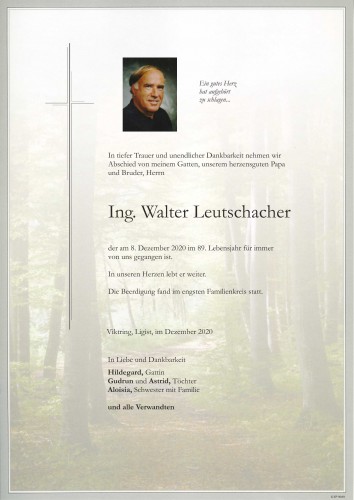 Ing. Walter Leutschacher