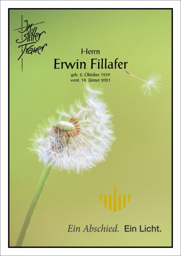 Erwin Fillafer