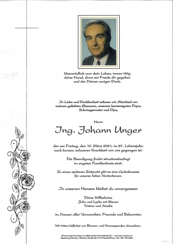 Ing. Johann Unger