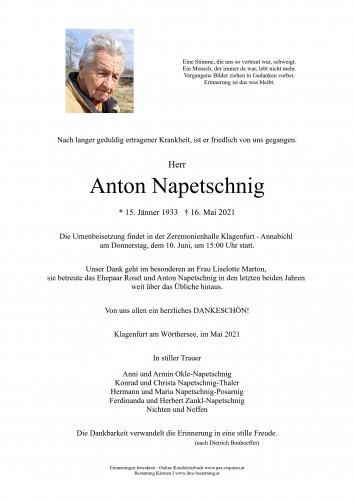 Anton Napetschnig