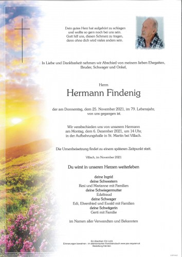 Hermann Findenig