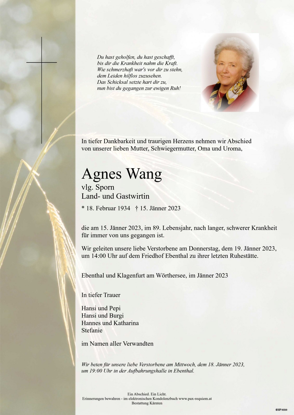 Parte Agnes Wang