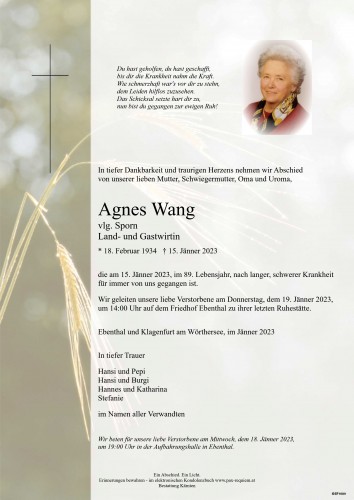 Agnes Wang