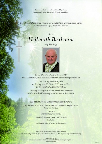 Hellmuth Buxbaum
