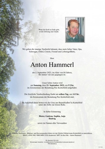 Anton Hammerl