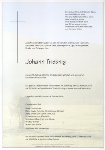 Johann Triebnig