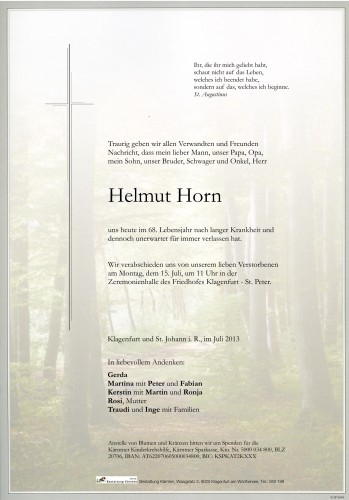 Helmut Horn